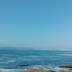 Ojalá me pudiera ir a tu casa trotando (demo1)