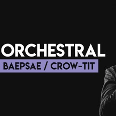 BTS (방탄소년단) 'Baepsae 뱁새' Orchestral Cover