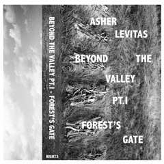 'Splintered' from Beyond The Valley Pt I - Forest's Gate