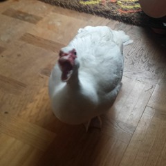 Just Idag Är Jag Stark