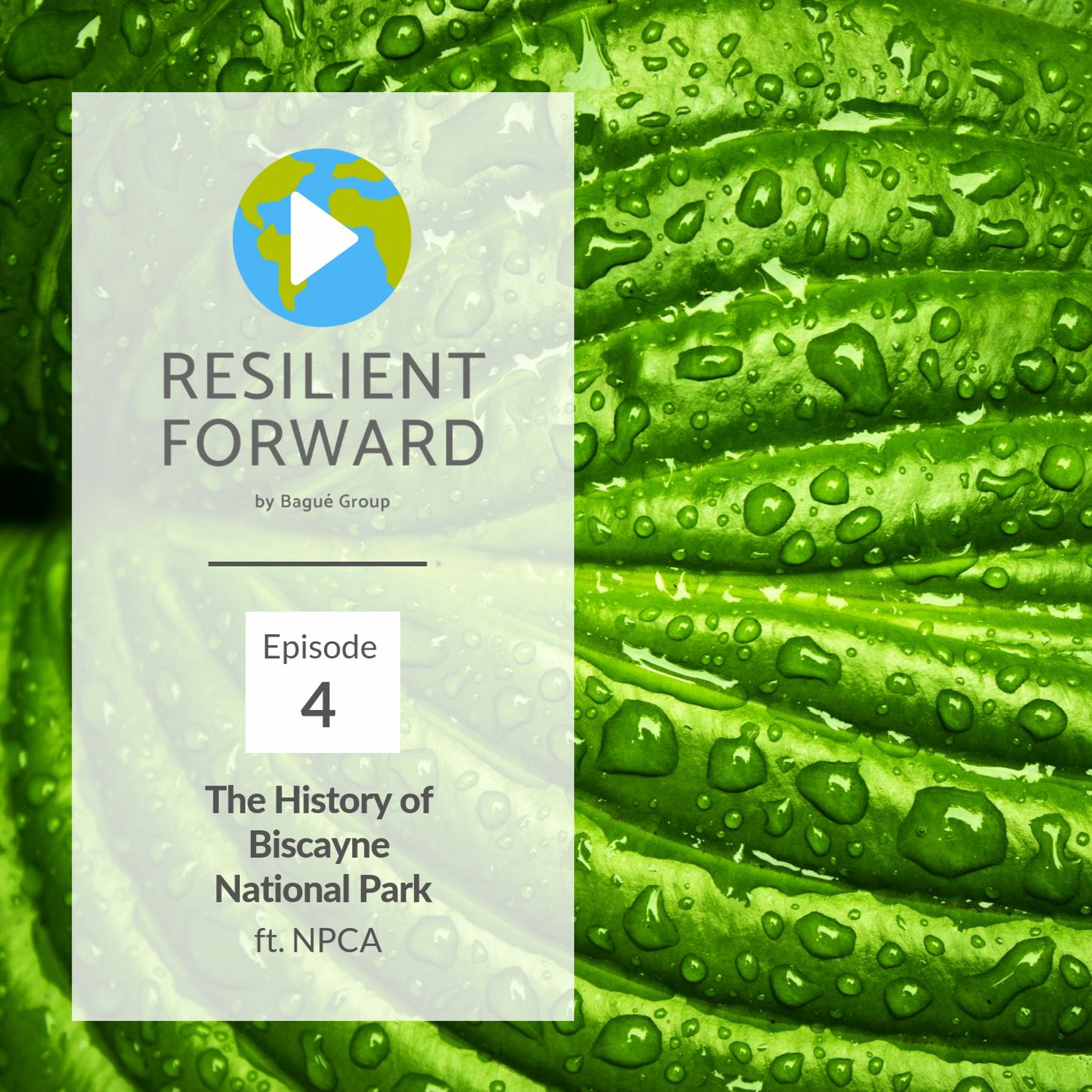 Resilient Forward