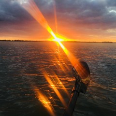 A little bird I am (w/ Xuefei)