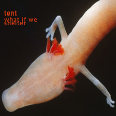 it is accelerating already