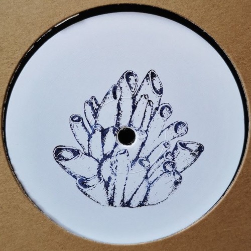 PREMIERE: E Davd - Solstice