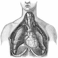 THE KHABOOSE SHOW 015 - Cyber Time Telepathtic Rupill Investigatore And The 14.3 Gold Heart Clinic