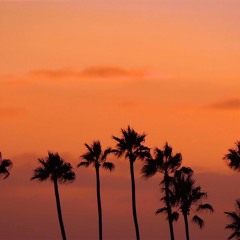 YOU N' ME feat. Rod Pires