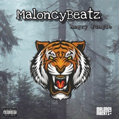 MaloncyBeatz - Angry Jungle