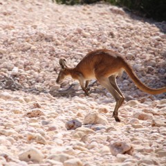 002 - Live from Exmouth