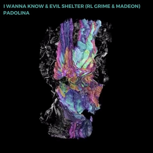 I Wanna Know & Evil Shelter (RL Grime & Madeon)