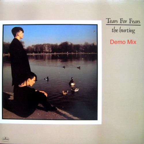 Tears for Fears - The Hurting (Demo Mix)