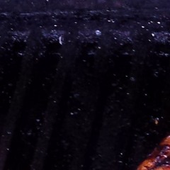 Social Media Echo Chamber