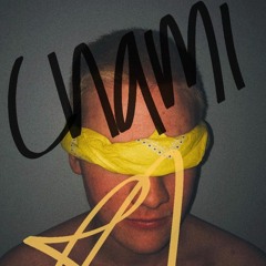 DD Doner - Chami the Animal ft. Joe-G, Goose prod. waterboy