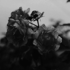 hopeless