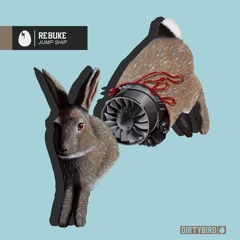 Rebuke - Jump Ship [DIRTYBIRD]