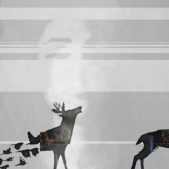 Low Roar - Nobody Else (An.d Quantum mix)