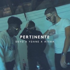 Division C (Deyo x Ydane x Ateba) - Pertinente