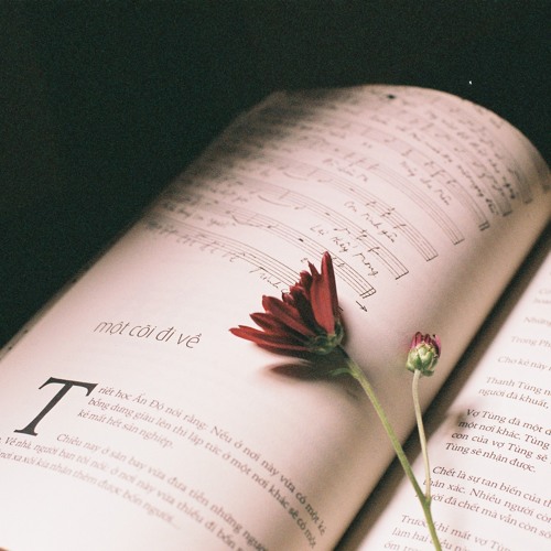 Ki Uc Tinh Yeu - khigiadn