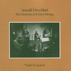 Arnold Dreyblatt - Nodal Excitations (Sutja's Edit)