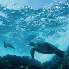 lant022 - martin schulte - ocean (album preview)