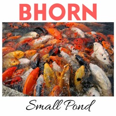Small Pond