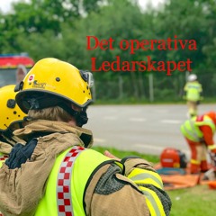 Avsnitt 3 - Skogsbranden I Ljusdal sommaren 2018