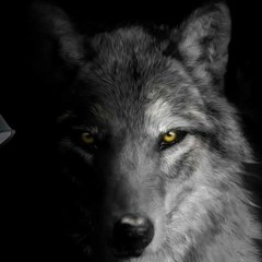 Dark Betrayal - Dom Da Creature