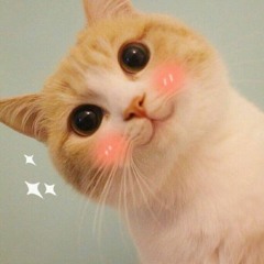 💖 / (ㅇㅅㅇ❀)＼ 💖