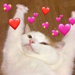 ❤ 【=◈︿◈=】 ❤ 4