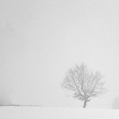 Silverman - Music for Saxophone