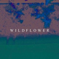 Wildflower