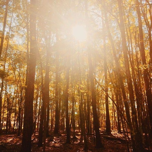 Caught In The Breeze (prod. No Luck)