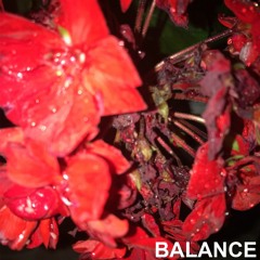 Balance (prod. Zeeky)