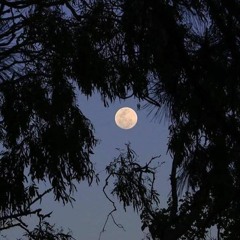 No one Knows Me Like The Piano (Pitched With Reverb)