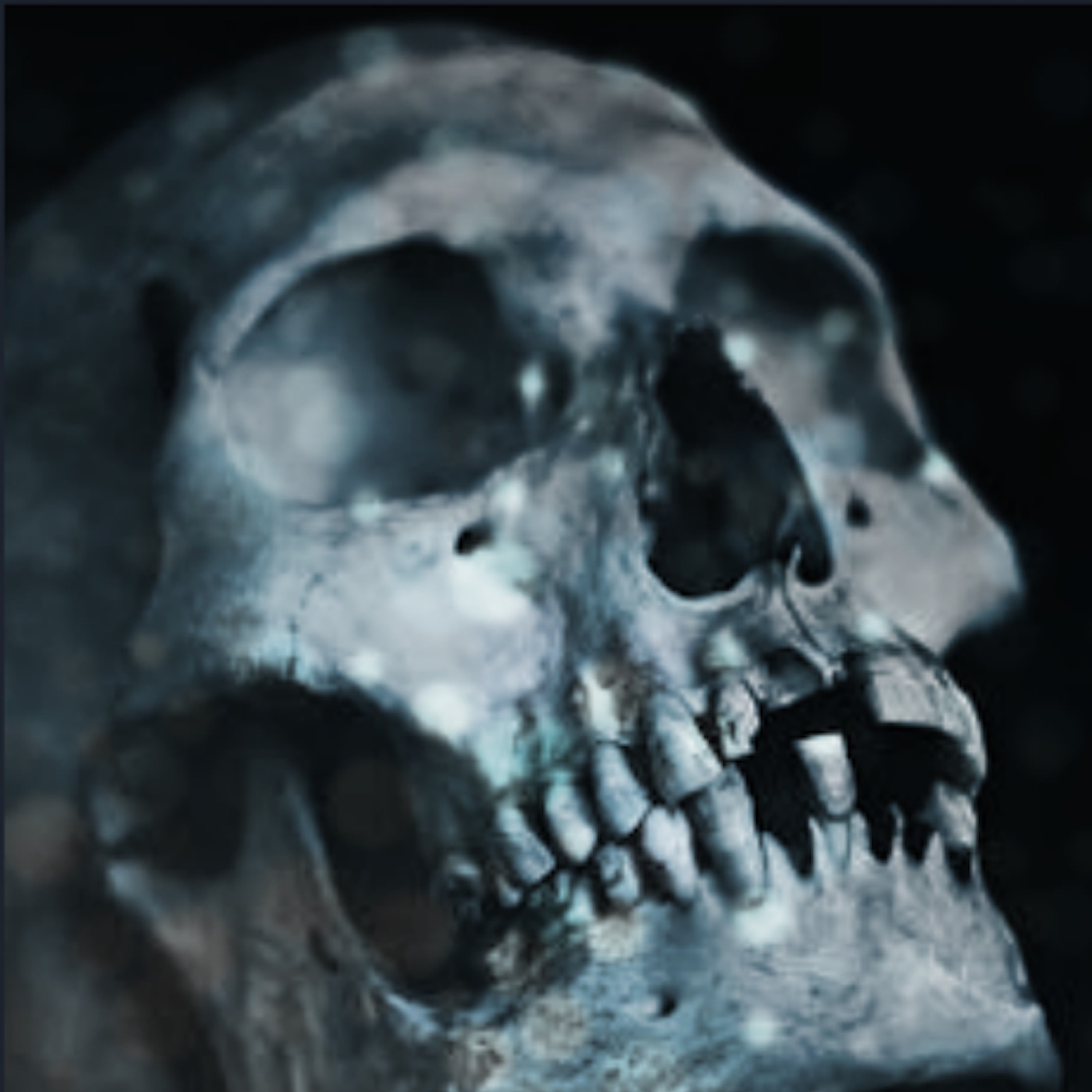 Episode 69 - What's Hecuba to him, or he to Hecuba?