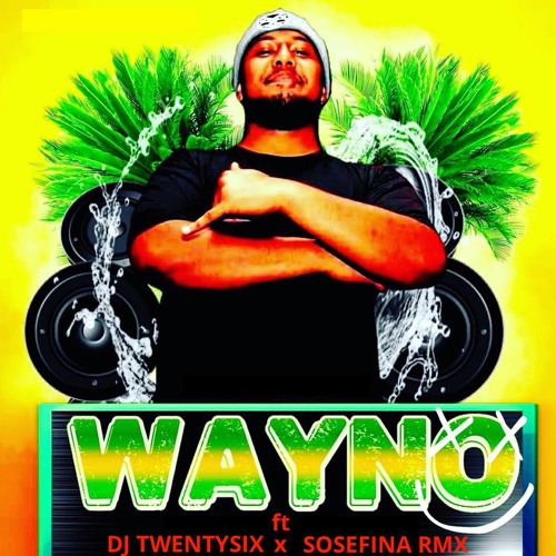 Wayno - Sosefina [Dj TwentySix Remix]
