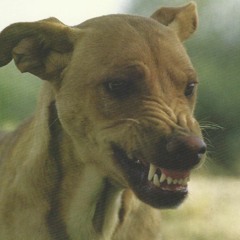 Dr.Docs - Hunde (prod. by solsa)(VIDEOLINK IN DESCRIPTION)