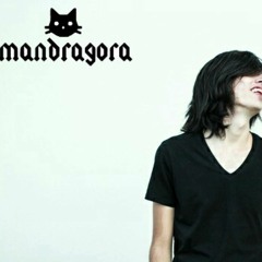 Mandragora - Digital Fascism