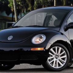 Little Black Beetle
