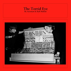 Acronym & Kali Malone - Torrid Eye (sampler)