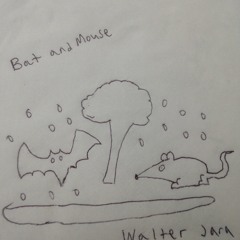 Bat and Mouse
