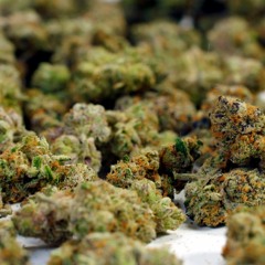 True2MyGang ft. ReklessThaSavage