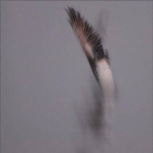 Ahzee-Wings (slow remix)