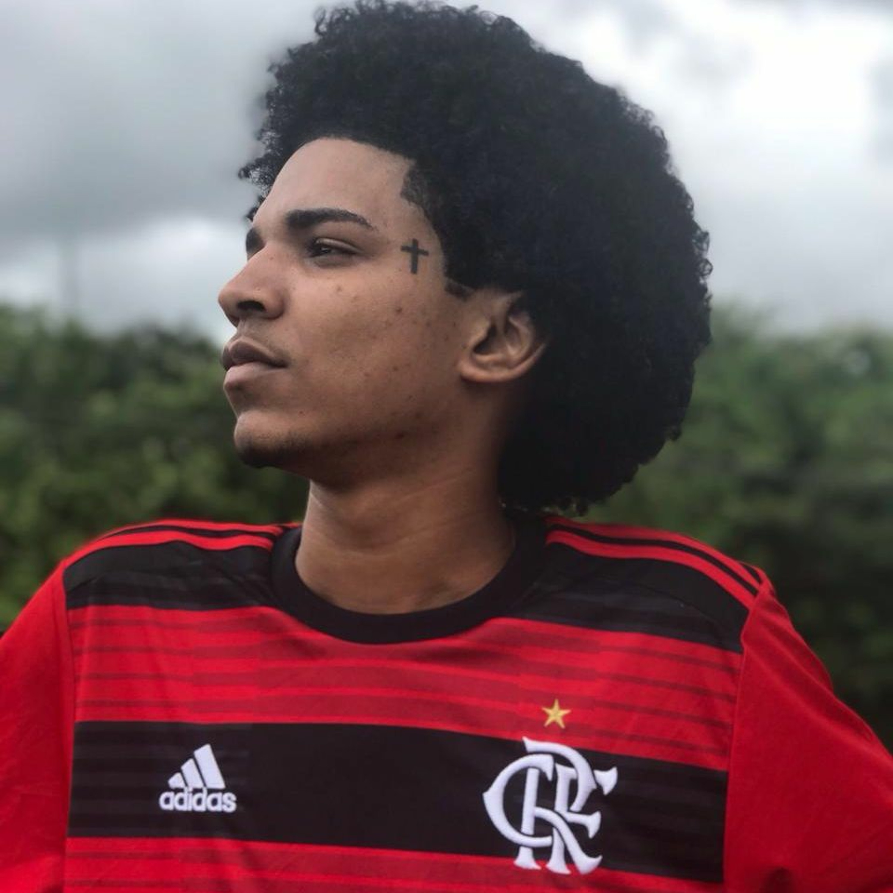 PL TORVIC - REI DO EMBRAZAMENTO