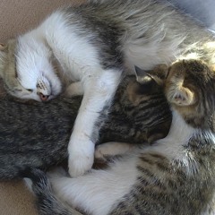 My sleep