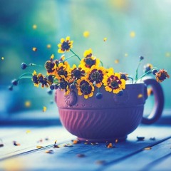 أحلى حياة