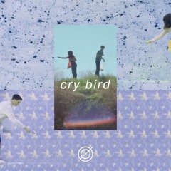 cry bird (olso flip) - tennyson