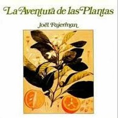 Joel Fajerman    Flowers Love Guitar Version Instrumental