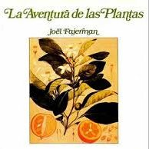 Stream Joel Fajerman Flowers Love Guitar Version Instrumental by