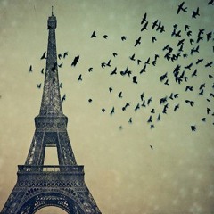 Groove Guys In Paris