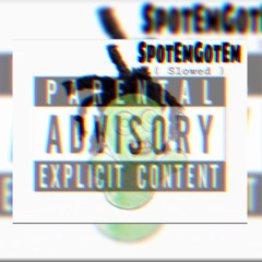 Flippa GRAMZ x SPOTEMGOTEM ( slowed )